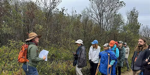 Edible & Medicinal Plants