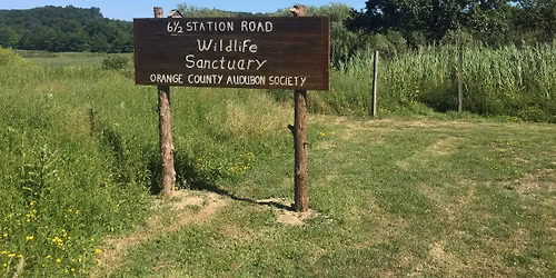 Bird Walk at Heritage Trail at 6 1\/2 Station Road