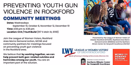 Preventing Youth Gun Violence in Rockford - December Meeting