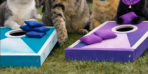 Tossin' for Tails Cornhole Tournament