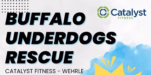 Meet the Underdogs - Catalyst Fitness