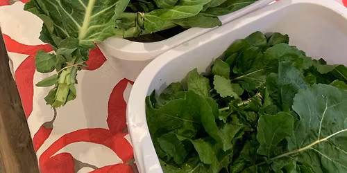 Roberts Creek Wednesday Market