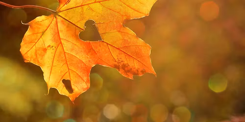 Samtalstr\u00e4ff - OCD i vardagen