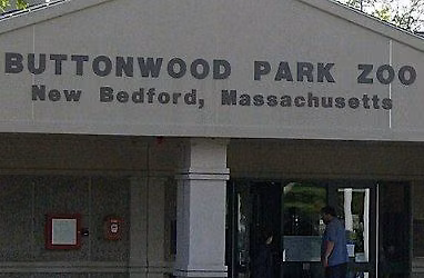 Family Adventure: Buttonwood Park Zoo Quest