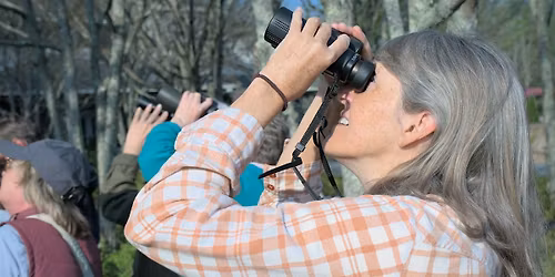 Birding for Beginners