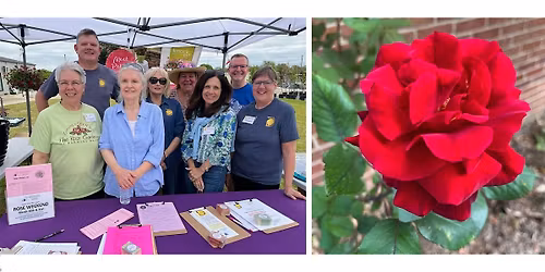 Spring Rose Show 2026
