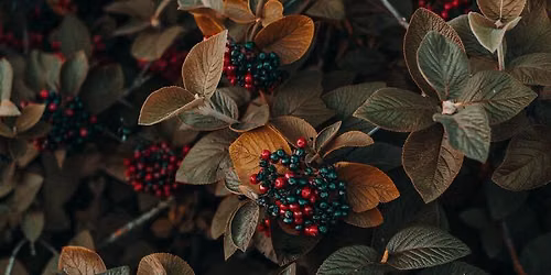 Color Photography