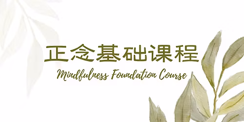 \u6b63\u5ff5\u57fa\u7840\u8bfe\u7a0b Mindfulness Foundation Course