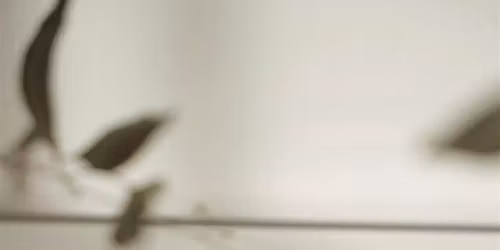 FREE Creative Writing Workshop: Discover Your Strength as a Writer