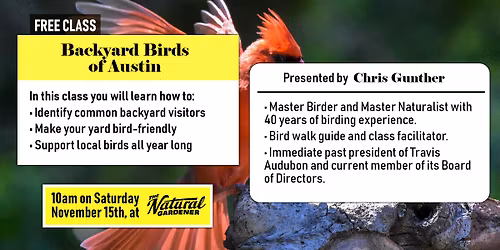Free Class: Backyard Birds of Austin with Chris Gunther (Travis Audubon)