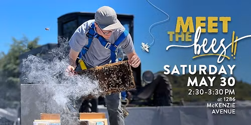 Meet the Bees at The Root Cellar! \ud83d\udc1d