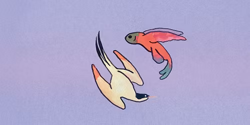 WOOOSH - De 5 \u00e0 10 ans