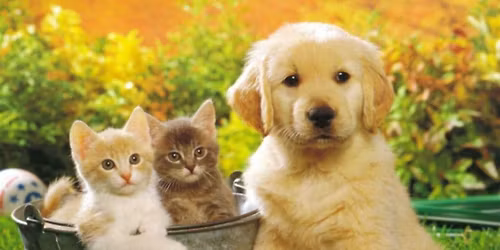 TURVEY CENTRE SPRING CRAFT & TRADESHOW 