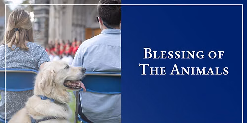 Blessing of the Animals