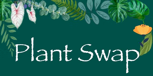 Plant Swap with Anxiety Free Room 