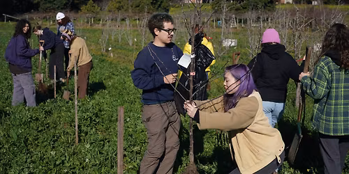 Intro to Fruit Trees