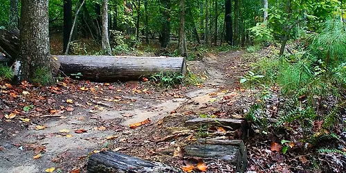 \ud83c\udf32\u2728 Women\u2019s Trail Festival: 8K Hike with East Coast Hikers \u2728\ud83c\udf32
