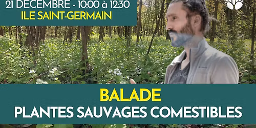 BALADE PLANTES SAUVAGES COMESTIBLES - ILE SAINT GERMAIN