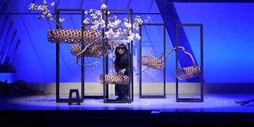 Ichiyo Ikebana Experience