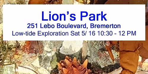 Low-Tide Beach Exploration Lion\u2019s Park Bremerton.