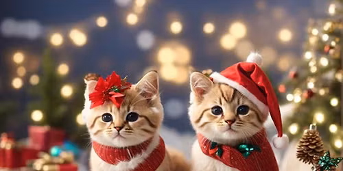 \ud83d\udc96 Purr-fect Match