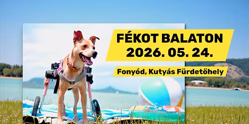 F\u00c9KOT BALATON 2026 - Fogyat\u00e9kkal \u00c9l\u0151 Kuty\u00e1k Orsz\u00e1gos Tal\u00e1lkoz\u00f3j\u00e1nak Helyi Rendezv\u00e9nye
