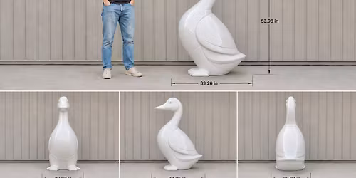 Goose on the Grand