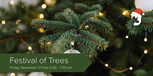 Festival of Trees