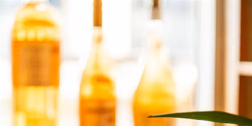 Wine 1-0-1:Natural Wines