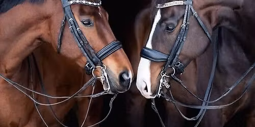 TSS Dressage at SNF Farm,