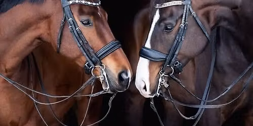 TSS Dressage at SNF  Farm,