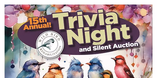 15th Annual Trivia Night & Silent Auction