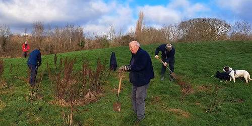 Park Conservation Tasks