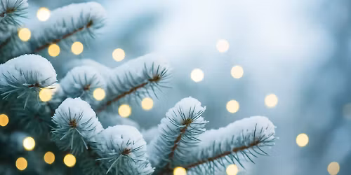 Tree of Lights Remembrance Celebration - Cherry Hill