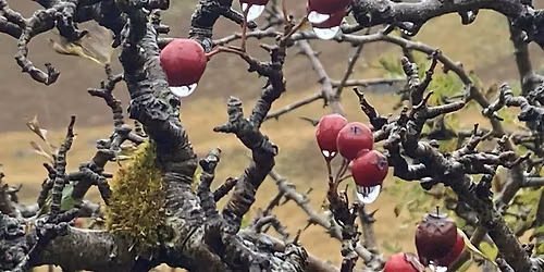 Worcester Arts Collective Poetry Workshop