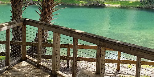 Forest Bathing at Gemini Springs