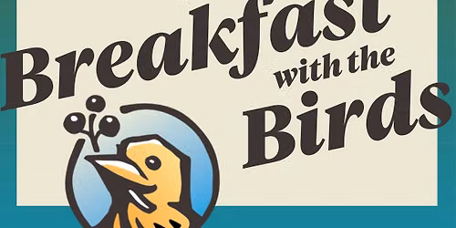 Breakfast with the Birds