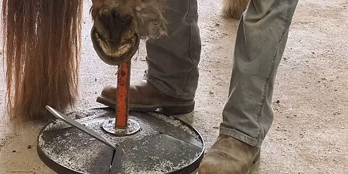 Hoof Grooming for Maintenance & Health Clinic - Duncan BC - July 23-26, 2026