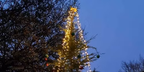 Heatherside Christmas tree light switch on event