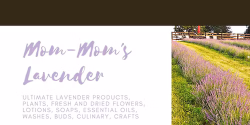 Spring 2026 English Lavender Festival at Mom-Mom's Lavender