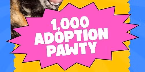 El Gato 1000 Adoptions Pawty