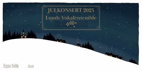 Lunds Vokalensemble - Julkonsert