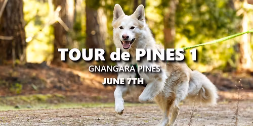 WASSA Tour de Pines 1