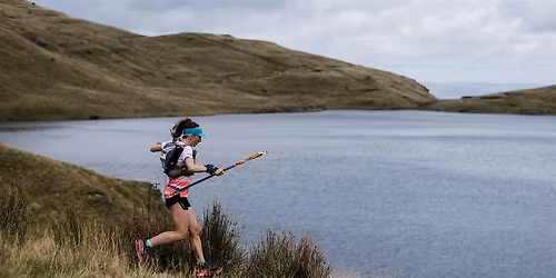 How to Tame The Dragon