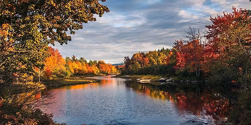 Waterfowl  and Foliage Public Paddle - 2026- Sultana Education Foundation