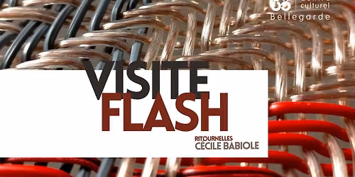     \ud83d\udc41\ufe0f\u200d\ud83d\udde8\ufe0fVisites flash  \u2734\ufe0f Ritournelles \ud83d\udd39Ce\u0301cile Babiole