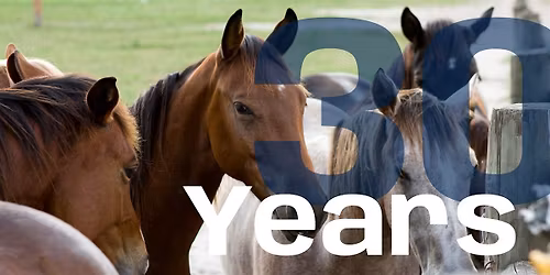 Celebrating 30 years of the Equine Specialization in Animal Sciences