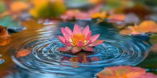 Group Meditation and Conscious Conversation