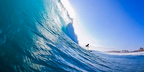 Endless Summer Music