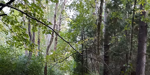 Free Family Nature Club in West Bend